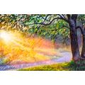OBRAZ VÝCHOD SLNKA V LESE - OBRAZY - TOTÁLNÍ VÝPRODEJ 🔥