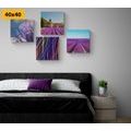 CANVAS PRINT SET LAVENDER FIELDS WITH BEAUTIFUL ABSTRACTION - SET OF PICTURES - PICTURES