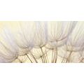 CANVAS PRINT DANDELION SEEDS - PICTURES FLOWERS - PICTURES