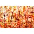 CANVAS PRINT DANDELION IN SHADES OF ORANGE - ABSTRACT PICTURES - PICTURES