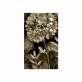 POSTER WITH MOUNT BEAUTIFUL FLOWERS IN SEPIA DESIGN - BLACK AND WHITE - POSTERS