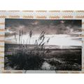 CANVAS PRINT SUNSET ON A BEACH IN BLACK AND WHITE - BLACK AND WHITE PICTURES - PICTURES