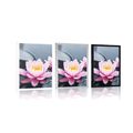 POSTER LOTUS FLOWER IN THE LAKE - FLOWERS - POSTERS