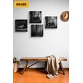 CANVAS PRINT SET FOREST ANIMALS IN BLACK AND WHITE - SET OF PICTURES - PICTURES