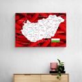 OBRAZ MAPA MAĎARSKA S TYPICKÝM POZADÍM - OBRAZY MAPY - OBRAZY