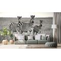SELF ADHESIVE WALL MURAL THREE BLACK AND WHITE ZEBRAS IN THE SAVANNAH - SELF-ADHESIVE WALLPAPERS - WALLPAPERS