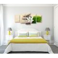 IMPRESSION SUR TOILE EN 5 PARTIES FLEUR BLANCHE ET PIERRES DANS LE SABLE - IMPRESSIONS SUR TOILE FENG SHUI - IMPRESSION SUR TOILE