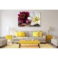 CANVAS PRINT FLOWERS IN A BOWL WITH ZEN STONES - PICTURES FLOWERS - PICTURES