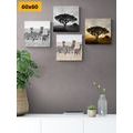 CANVAS PRINT SET ANIMALS LIVING ON THE SAVANNAH - SET OF PICTURES - PICTURES