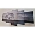 5-TEILIGES WANDBILD EINSAMER BAUM IN SCHWARZ-WEISS - SCHWARZ-WEISSE BILDER - BILDER