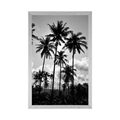 POSTER COCONUT TREES ON THE BEACH IN BLACK AND WHITE - BLACK AND WHITE - POSTERS