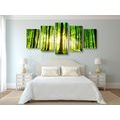 5-PIECE CANVAS PRINT LUSH GREEN FOREST - PICTURES OF NATURE AND LANDSCAPE - PICTURES