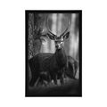 POSTER DEER IN THE FOREST IN BLACK AND WHITE - BLACK AND WHITE - POSTERS