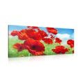 CANVAS PRINT POPPY FLOWERS IN A MEADOW - PICTURES - 🔥 TOTAL SALE 🔥