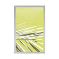 POSTER PALM LEAF - NATURE - POSTERS