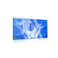 CANVAS PRINT DANDELION IN A BLUE DESIGN - PICTURES FLOWERS - PICTURES