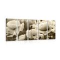 5-PIECE CANVAS PRINT FIELD OF WILD POPPIES IN SEPIA DESIGN - BLACK AND WHITE PICTURES{% if product.category.pathNames[0] != product.category.name %} - PICTURES{% endif %}