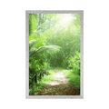 POSTER PATH ON THE ISLAND OF SEYCHELLES - NATURE - POSTERS