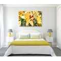 CANVAS PRINT YELLOW LILY - PICTURES FLOWERS - PICTURES