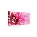 TABLEAU SUR TOILE – FLEUR ROSE - TABLEAUX DE FLEURS - TABLEAUX