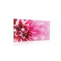 WANDBILD ROSA BLUME - BILDER BLUMEN - BILDER