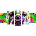 TABLOU 5-PIESE BULDOG POP-ART - TABLOURI POP ART - TABLOURI