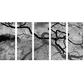 5-RÉSZES KÉP SZÜRREÁLIS FÁK FEKETE FEHÉRBEN - ÉLETFÁK KÉPEK - KÉPEK