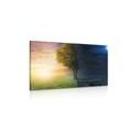 CANVAS PRINT DAY AND NIGHT - PICTURES OF NATURE AND LANDSCAPE{% if product.category.pathNames[0] != product.category.name %} - PICTURES{% endif %}