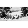 CANVAS PRINT WOODEN HOUSE NEAR SNOWY PINES IN BLACK AND WHITE - BLACK AND WHITE PICTURES - PICTURES