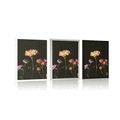 POSTER ELEGANT FLOWERS ON A DARK BACKGROUND - FLOWERS - POSTERS