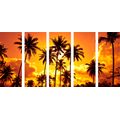 5-PIECE CANVAS PRINT COCONUT TREES ON A BEACH - PICTURES OF NATURE AND LANDSCAPE - PICTURES