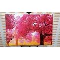 CANVAS PRINT ENCHANTING BLOOMING CHERRY TREES - PICTURES OF NATURE AND LANDSCAPE - PICTURES