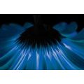 CANVAS PRINT BLUE GERBERA ON A DARK BACKGROUND - PICTURES FLOWERS - PICTURES