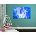 CANVAS PRINT DANDELION IN A BLUE DESIGN - PICTURES FLOWERS{% if product.category.pathNames[0] != product.category.name %} - PICTURES{% endif %}