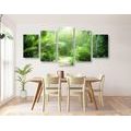 5-PIECE CANVAS PRINT PATH ON THE ISLAND OF SEYCHELLES - PICTURES OF NATURE AND LANDSCAPE - PICTURES