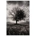 QUADRO SU TELA – ALBERO DELLA VITA E STORMO DI UCCELLI - QUADRI HALLOWEEN E HORROR - STAMPE E QUADRI