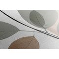 CANVAS PRINT ABSTRACT BOTANICAL SHAPES NO1 - PICTURES OF ABSTRACT SHAPES - PICTURES