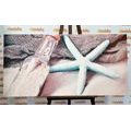 CANVAS PRINT STARFISH ON THE BEACH - STILL LIFE PICTURES - PICTURES