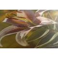 CANVAS PRINT BEAUTIFUL FLOWER WITH A RETRO TOUCH - PICTURES FLOWERS - PICTURES