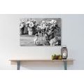 CANVAS PRINT ROMANTIC CARNATION IN A VINTAGE TOUCH IN BLACK AND WHITE - BLACK AND WHITE PICTURES - PICTURES