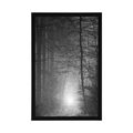 POSTER LICHT IM WALD IN SCHWARZ-WEISS - SCHWARZ-WEISS - POSTER