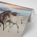 SELF ADHESIVE WALLPAPER HERD OF HORSES - SELF-ADHESIVE WALLPAPERS - WALLPAPERS