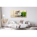 5-PIECE CANVAS PRINT WHITE FLOWER AND STONES IN SAND - PICTURES FENG SHUI{% if product.category.pathNames[0] != product.category.name %} - PICTURES{% endif %}