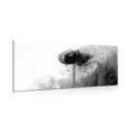 CANVAS PRINT INTERESTING FLOWER IN BLACK AND WHITE - BLACK AND WHITE PICTURES{% if product.category.pathNames[0] != product.category.name %} - PICTURES{% endif %}