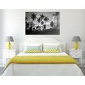 CANVAS PRINT OF COCONUT PALMS ON THE BEACH IN BLACK AND WHITE - BLACK AND WHITE PICTURES - PICTURES