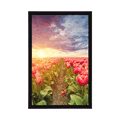 POSTER SONNENAUFGANG ÜBER DER WIESE MIT TULPEN - BLUMEN - POSTER