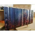 CANVAS PRINT SECRET OF THE FOREST - PICTURES OF NATURE AND LANDSCAPE - PICTURES