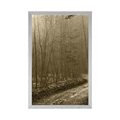 POSTER SEPIA PATH TO THE FOREST - BLACK AND WHITE - POSTERS
