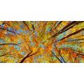 CANVAS PRINT AUTUMN TREE CROWNS - PICTURES OF NATURE AND LANDSCAPE - PICTURES