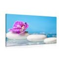 CANVAS PRINT ORCHID AND ZEN STONES - PICTURES FENG SHUI - PICTURES